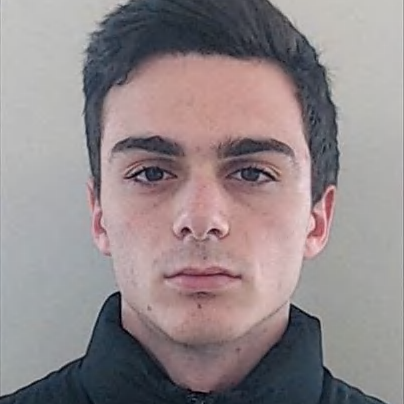 Nuno Dinis Amorim Gonçalves
