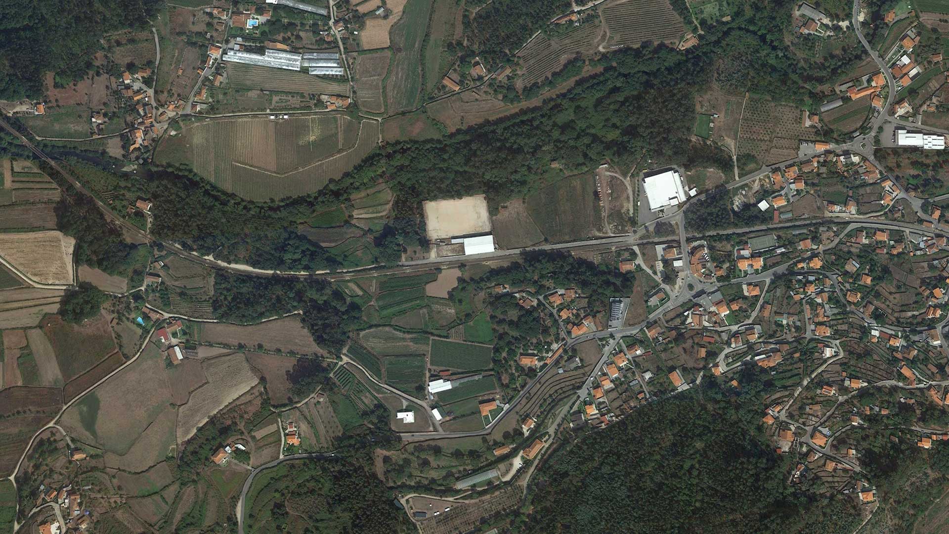 Campo do Lírio do Neiva