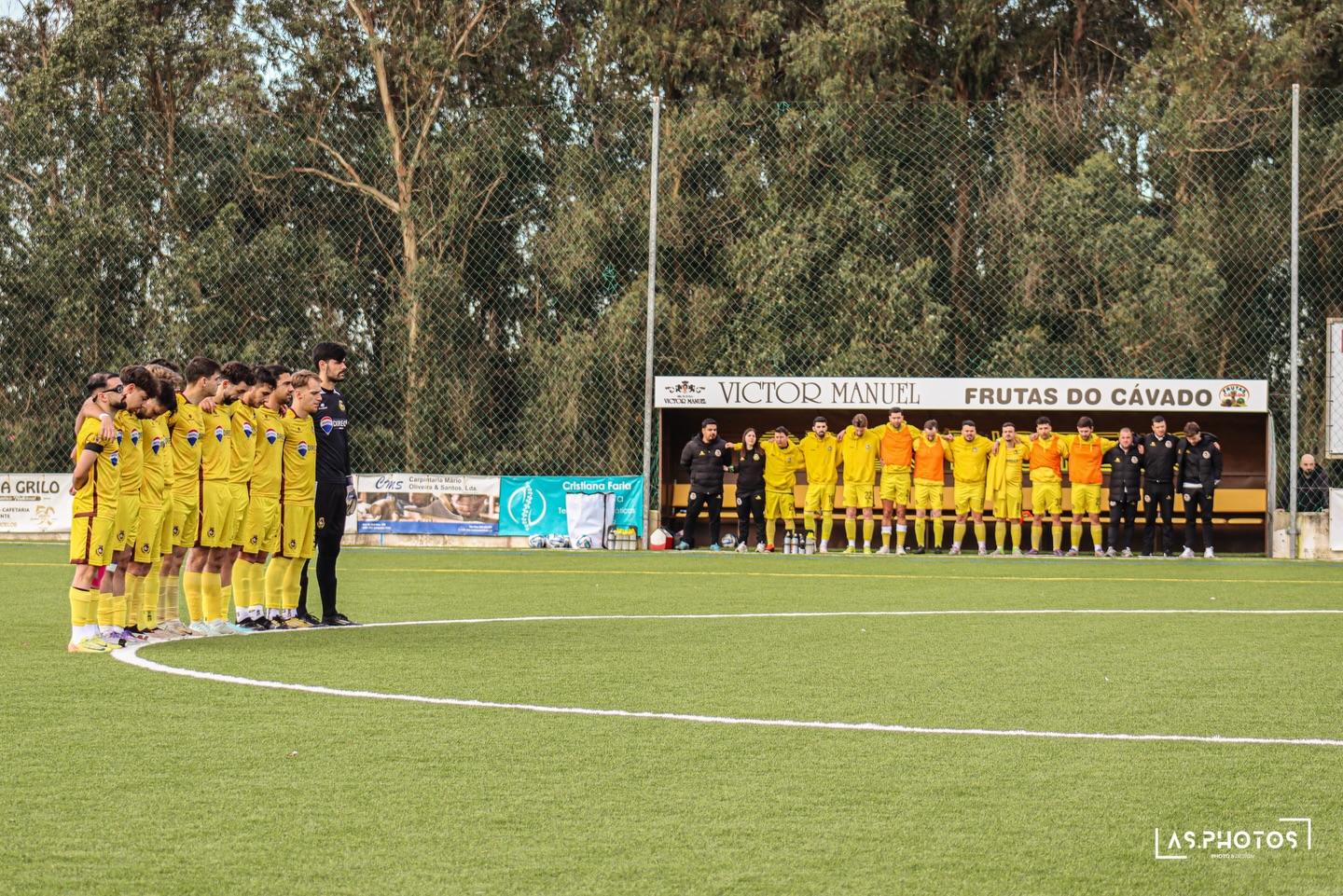 Campo de Cristelo