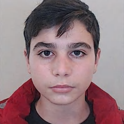 Diogo Araújo Gonçalves