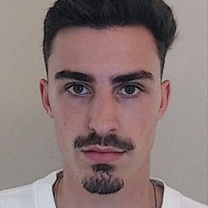 Diogo Miguel Araújo Gomes