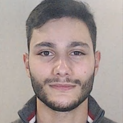 Francisco Miguel Pinheiro Parada Leitão Hardman