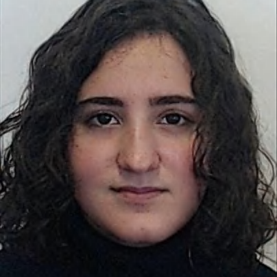 Íris Parente Ferreira