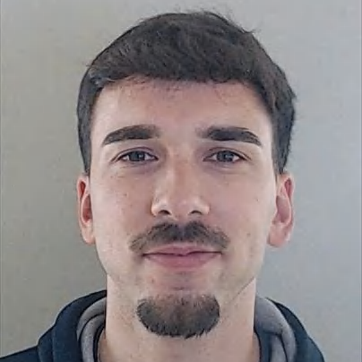 Carlos Leandro Alves Pereira
