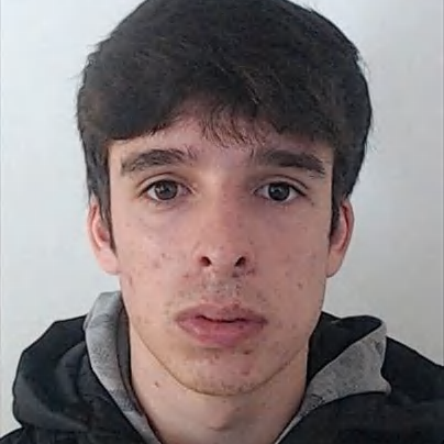 Paulo Alexandre Alvarenga Pereira
