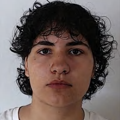 Inês Leonor Arantes Fernandes