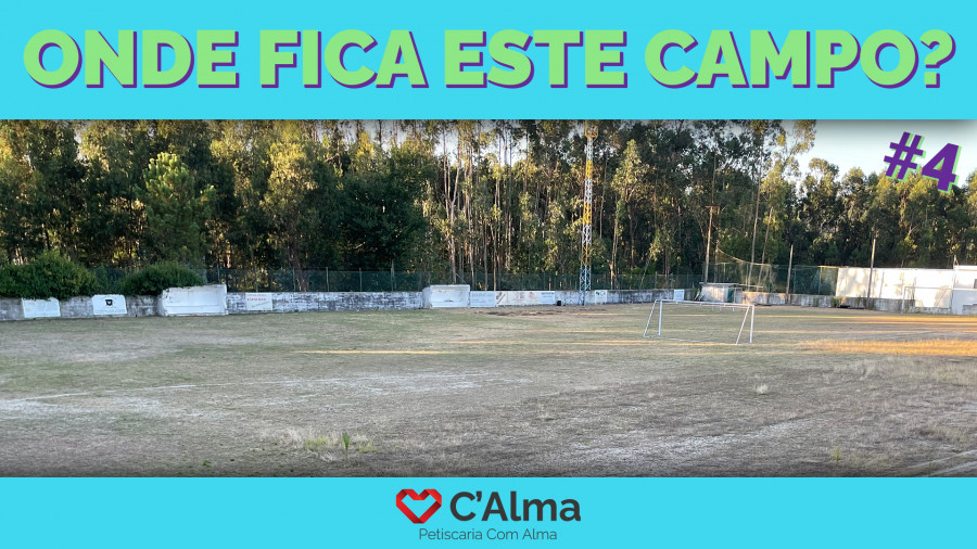 concurso,campo,campo4